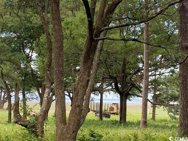 Tbd C Tbd C Jacks Circle Road North Myrtle Beach, SC 29582 - Photo 4 of 4