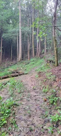 $625,000 | 150-ac 150-ac Prong Of Clear, Jamestown, TN 38556