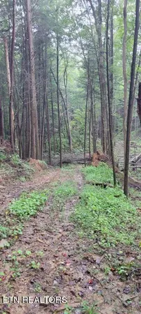 $625,000 | 150-ac 150-ac Prong Of Clear, Jamestown, TN 38556