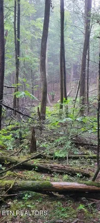 $625,000 | 150-ac 150-ac Prong Of Clear, Jamestown, TN 38556