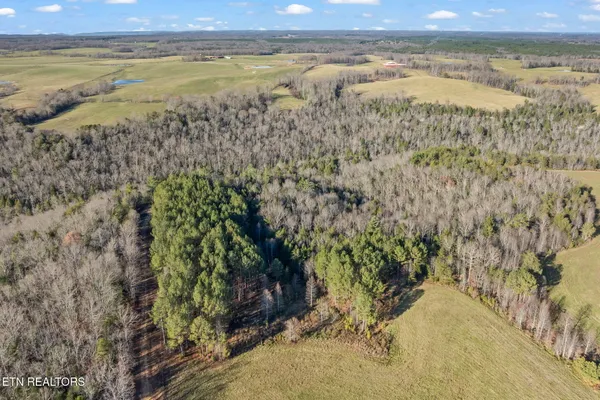 $625,000 | 150-ac 150-ac Prong Of Clear, Jamestown, TN 38556