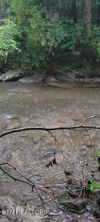 $625,000 | 150-ac 150-ac Prong Of Clear, Jamestown, TN 38556