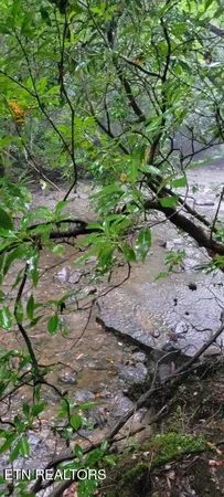 $625,000 | 150-ac 150-ac Prong Of Clear, Jamestown, TN 38556