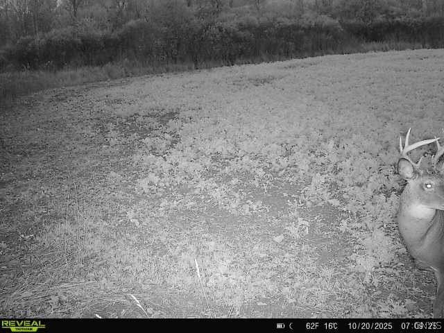 0 County Rte 35 Norwood, NY 13668 - Photo 5 of 6