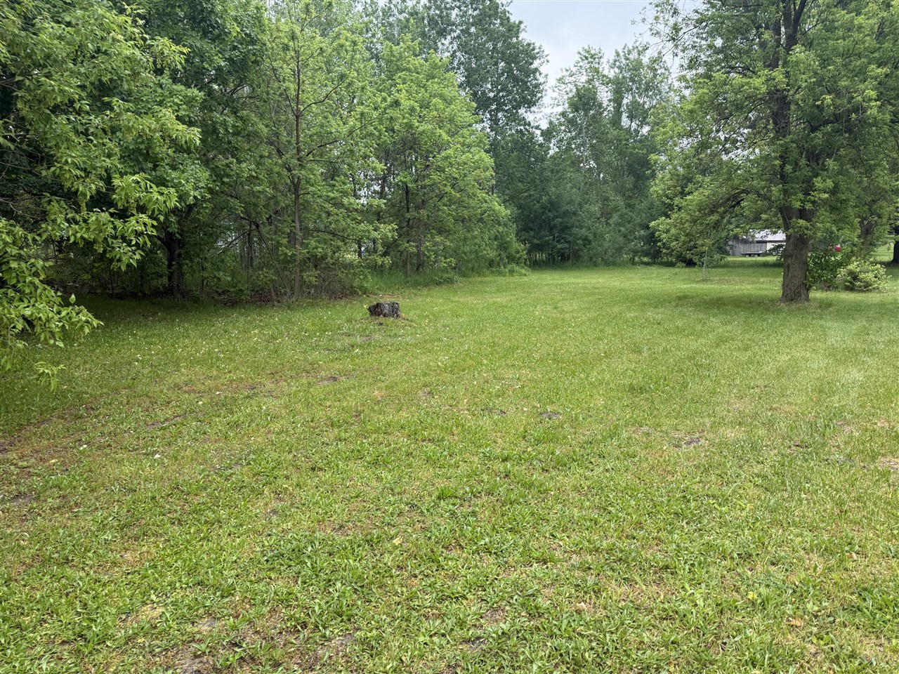 108 East North Street Edmore, MI 48829 - Photo 3 of 4