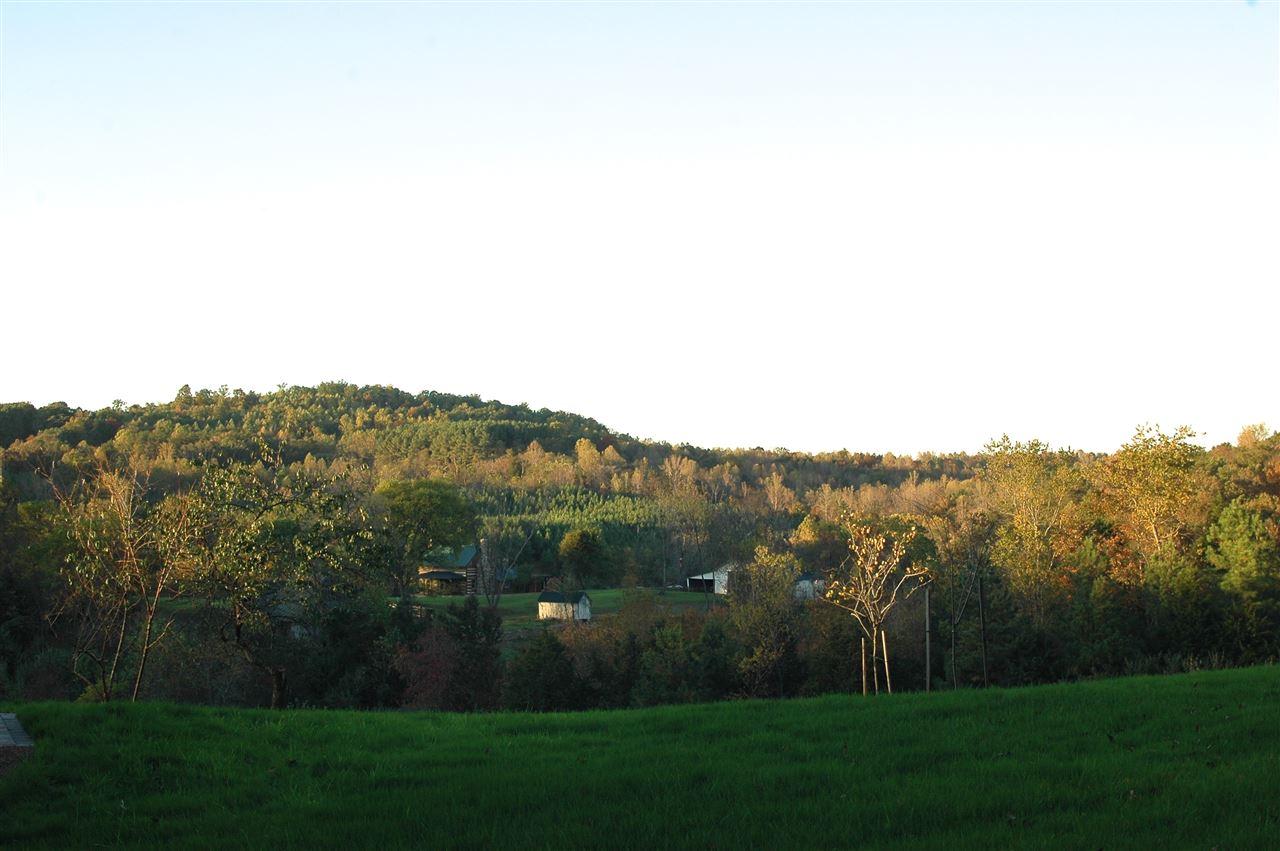 609 Turkey Ridge Road Castleton, VA 22716 - Photo 28 of 33 a view of a green field with mountains in the background