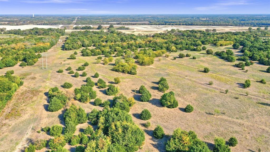 429 County Road 429 Anna, TX 75409 - Photo 18 of 30