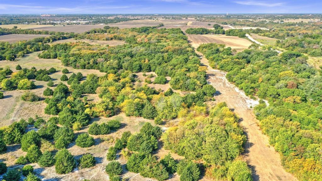 429 County Road 429 Anna, TX 75409 - Photo 21 of 30
