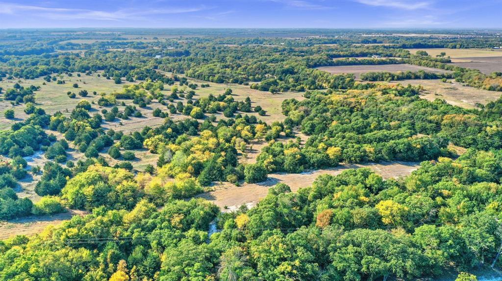 429 County Road 429 Anna, TX 75409 - Photo 25 of 30