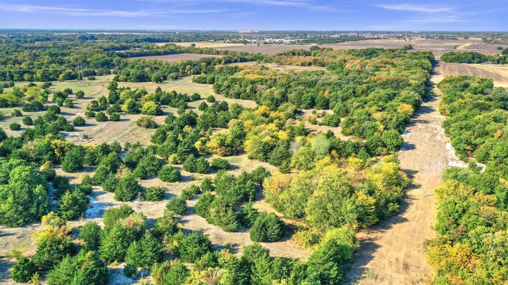 429 County Road 429 Anna, TX 75409 - Photo 28 of 30