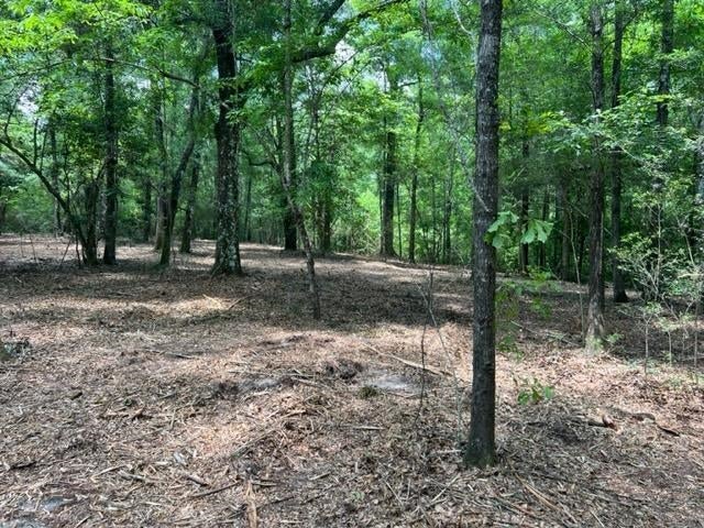 23.5-ac 23.5-ac Rosin Ridge Road Red Level, AL 36474 - Photo 22 of 37 Gallery Image 22