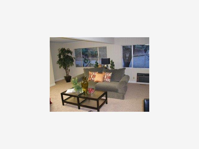 558 Patrol Road Woodside, CA 94062 - Photo 3 of 9
