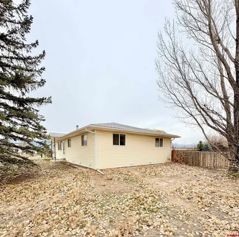 a picture of a yard with a tree