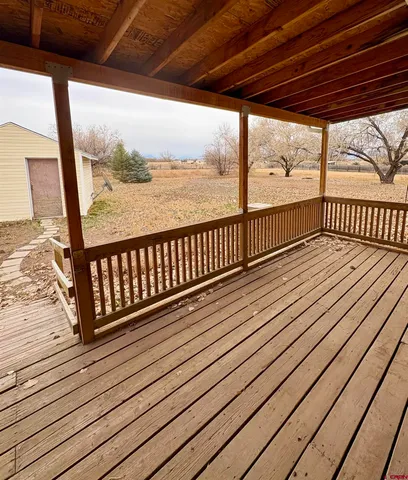 a view of ocean with large trees
