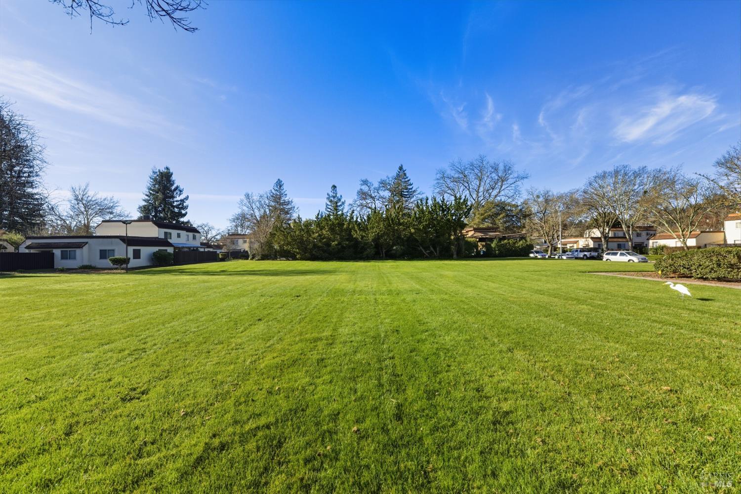 1741 Las Raposas Court Santa Rosa, CA 95409 - Photo 8 of 27 a view of a green field with trees in the background