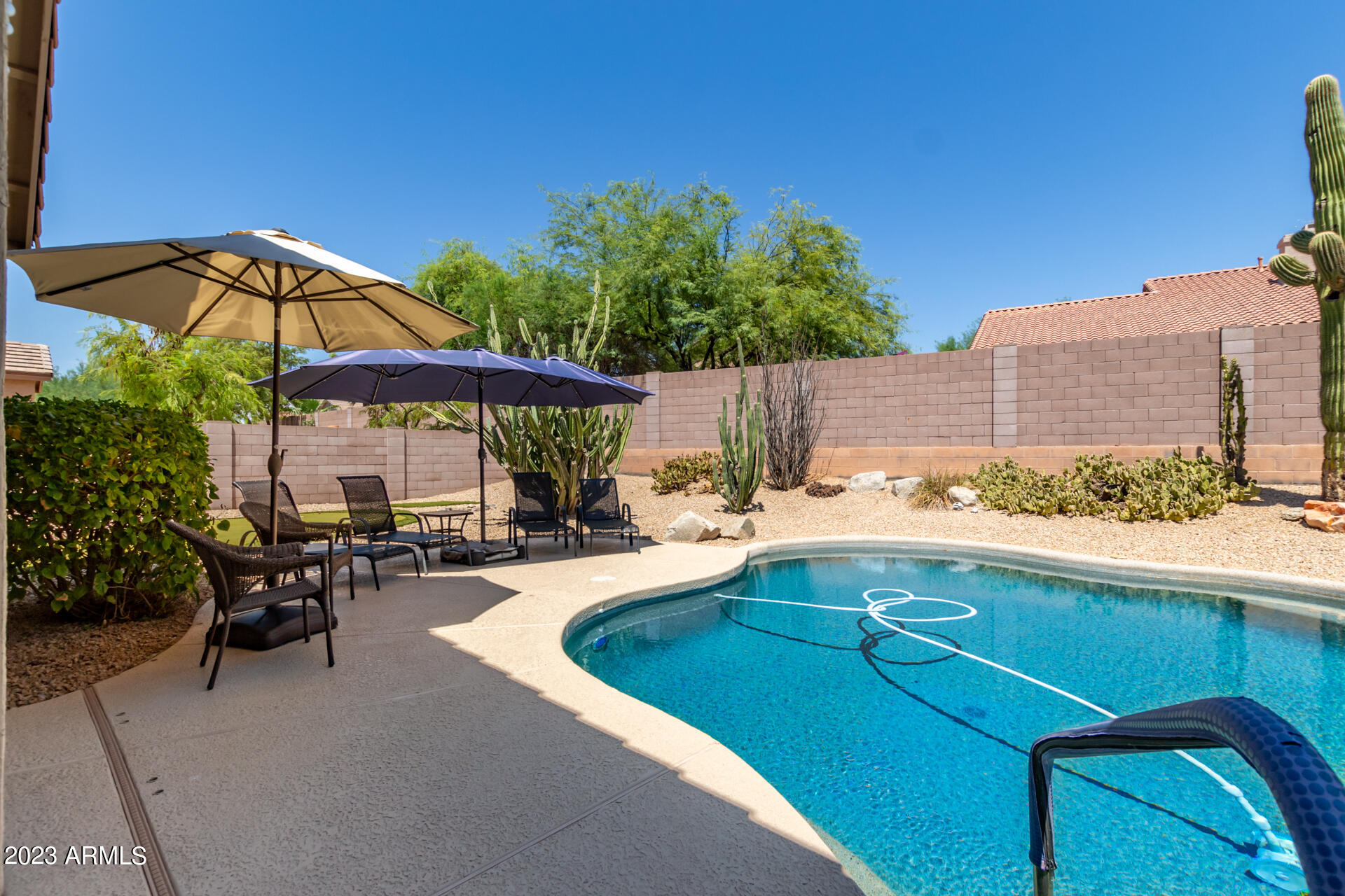 4506 East Jaeger Road Phoenix, AZ 85050 - Photo 32 of 47 Heated, salt water pool