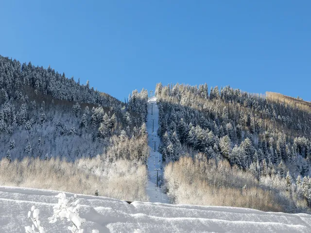 a view of a large window with an outdoor space