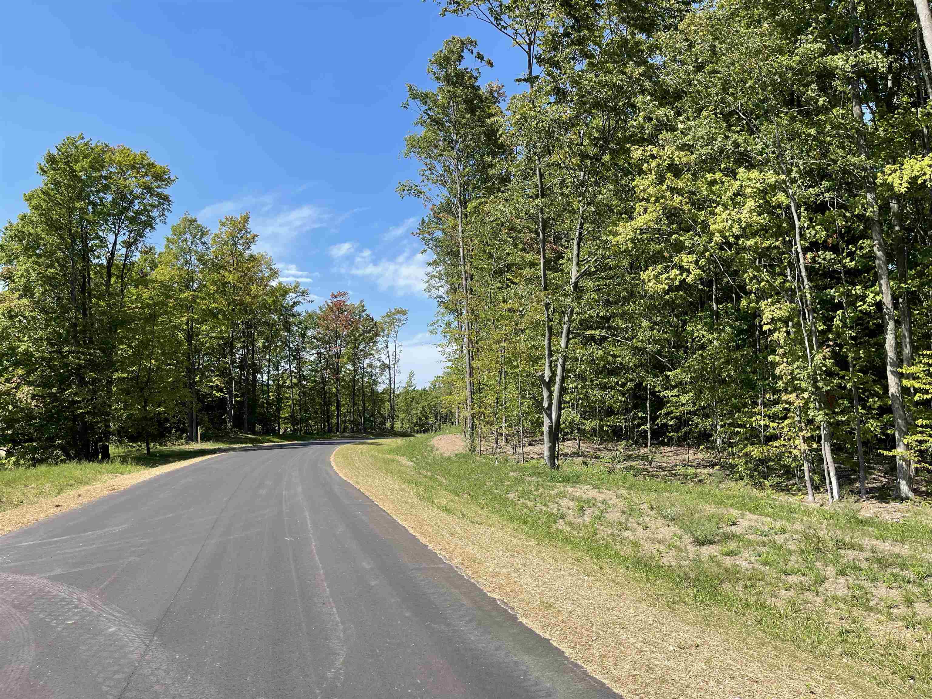 6325 Mountain Sky Road, Unit LOT 70 Kingsley, MI 49649 - Photo 21 of 31