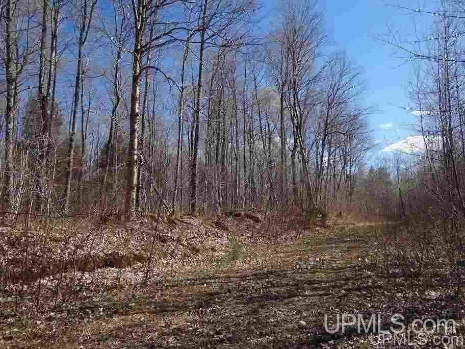 Tbd Off Ravine River Road Skanee, MI 49962 - Photo 14 of 20