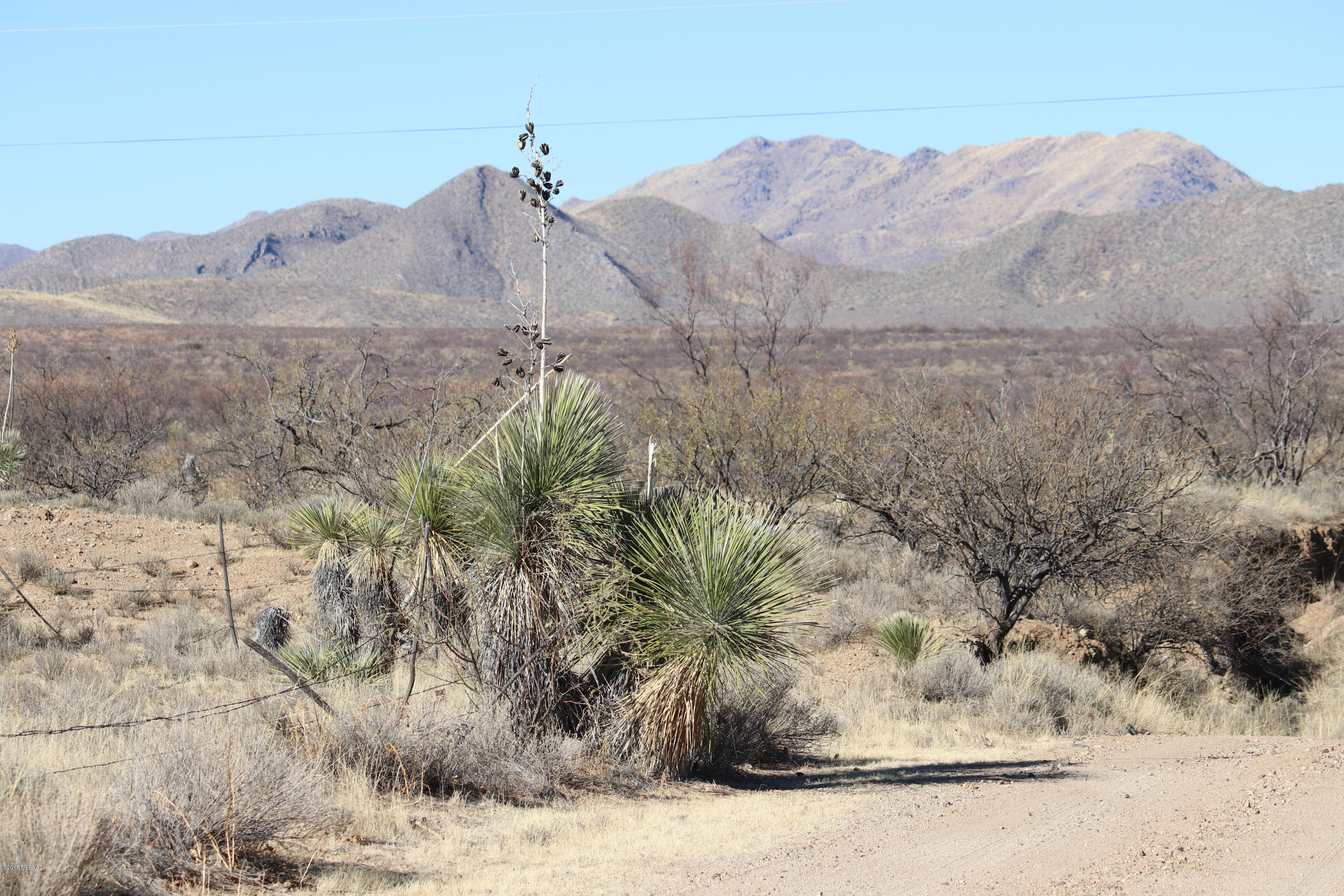 South Bascom Trail, Unit 55 Willcox, AZ 85643 - Photo 4 of 14