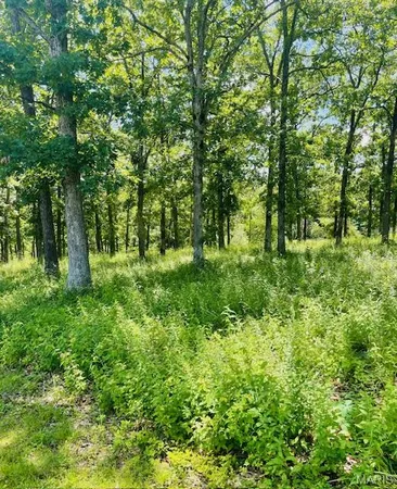 $49,900 | 0 Krausetown Road, Owensville, MO 65066