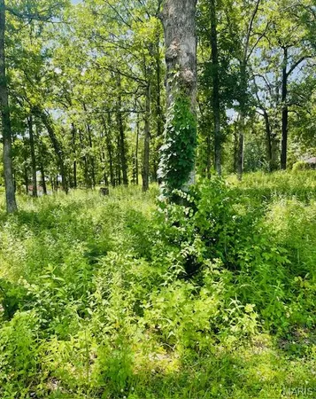 $49,900 | 0 Krausetown Road, Owensville, MO 65066