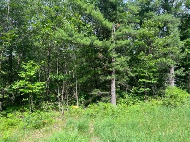 0 Russell Road Twin Lake, MI 49457 - Photo 1 of 2 1