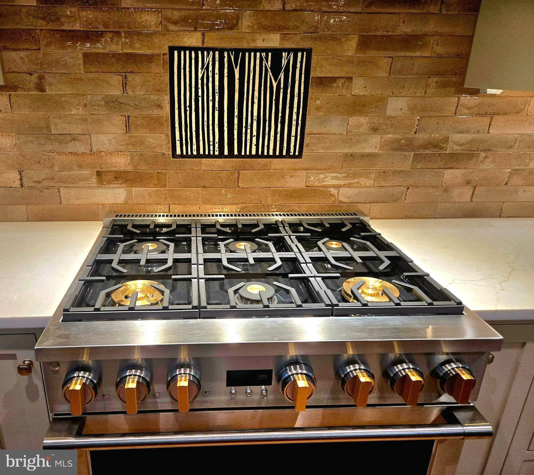 5823 Rodgers Road Pipersville, PA 18947 - Photo 15 of 46 6 Burner Range and backsplash