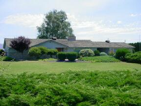 a view of a big yard with potted plants and large trees