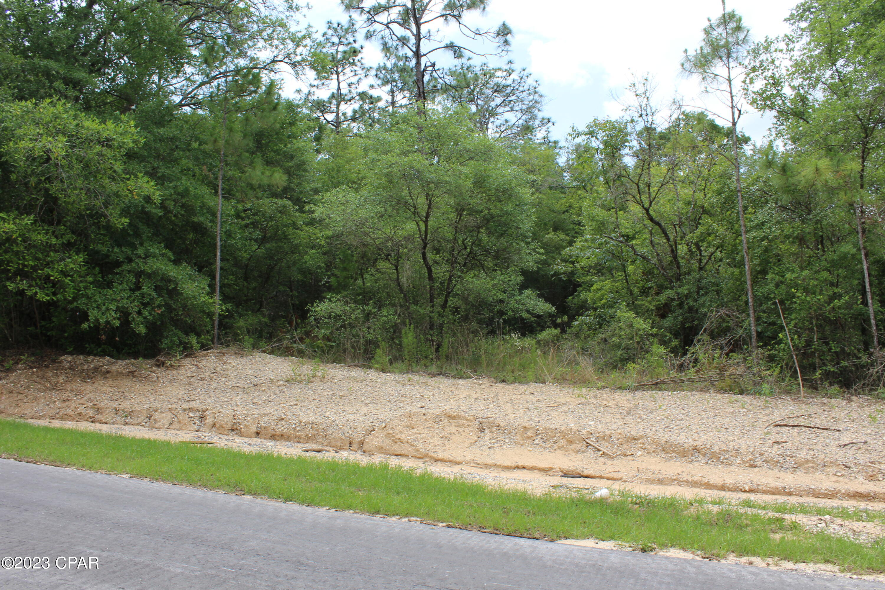 Tbd Territory Road Chipley, FL 32428 - Photo 5 of 13 Gallery Image 5