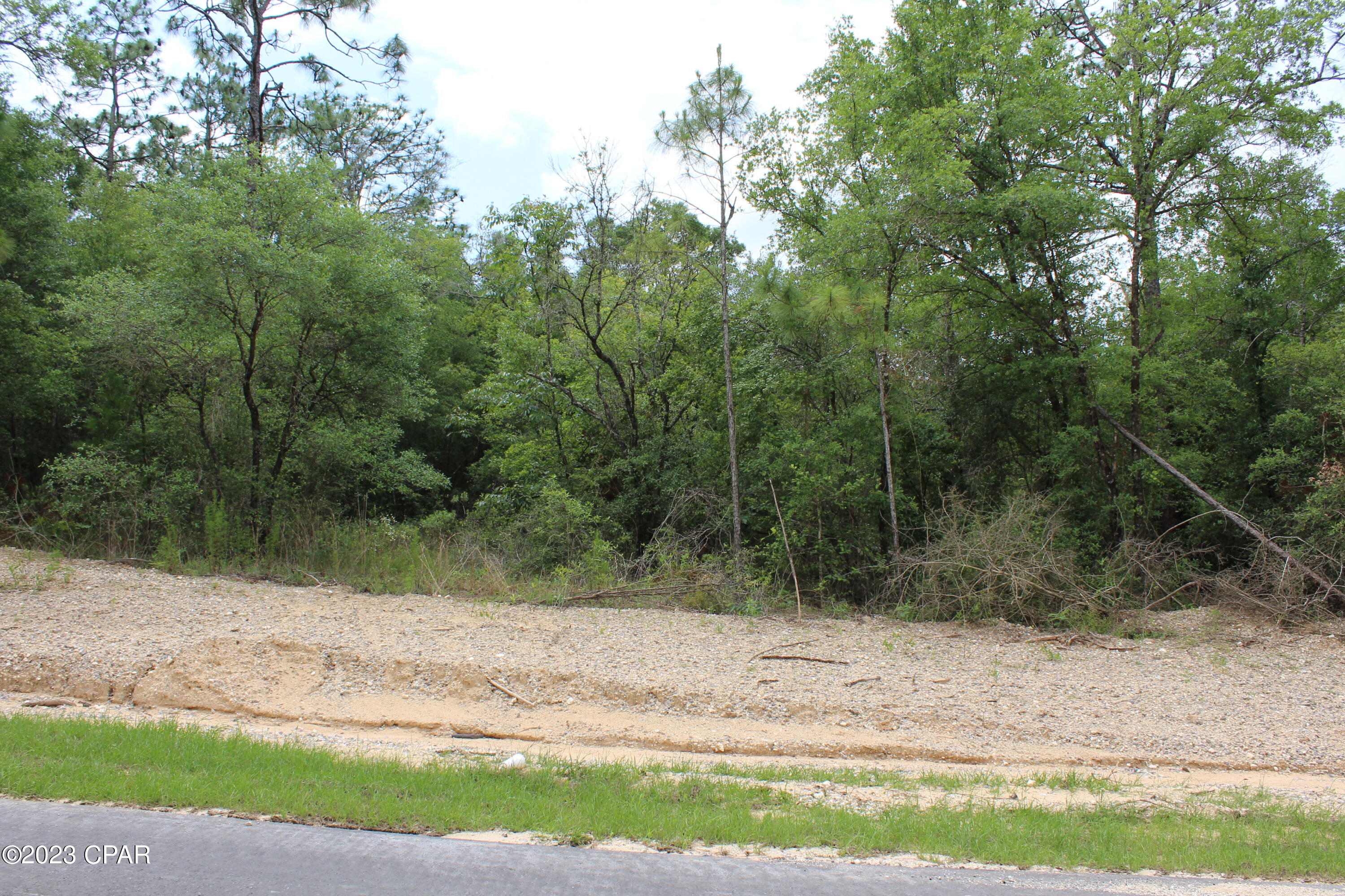 Tbd Territory Road Chipley, FL 32428 - Photo 6 of 13 Gallery Image 6