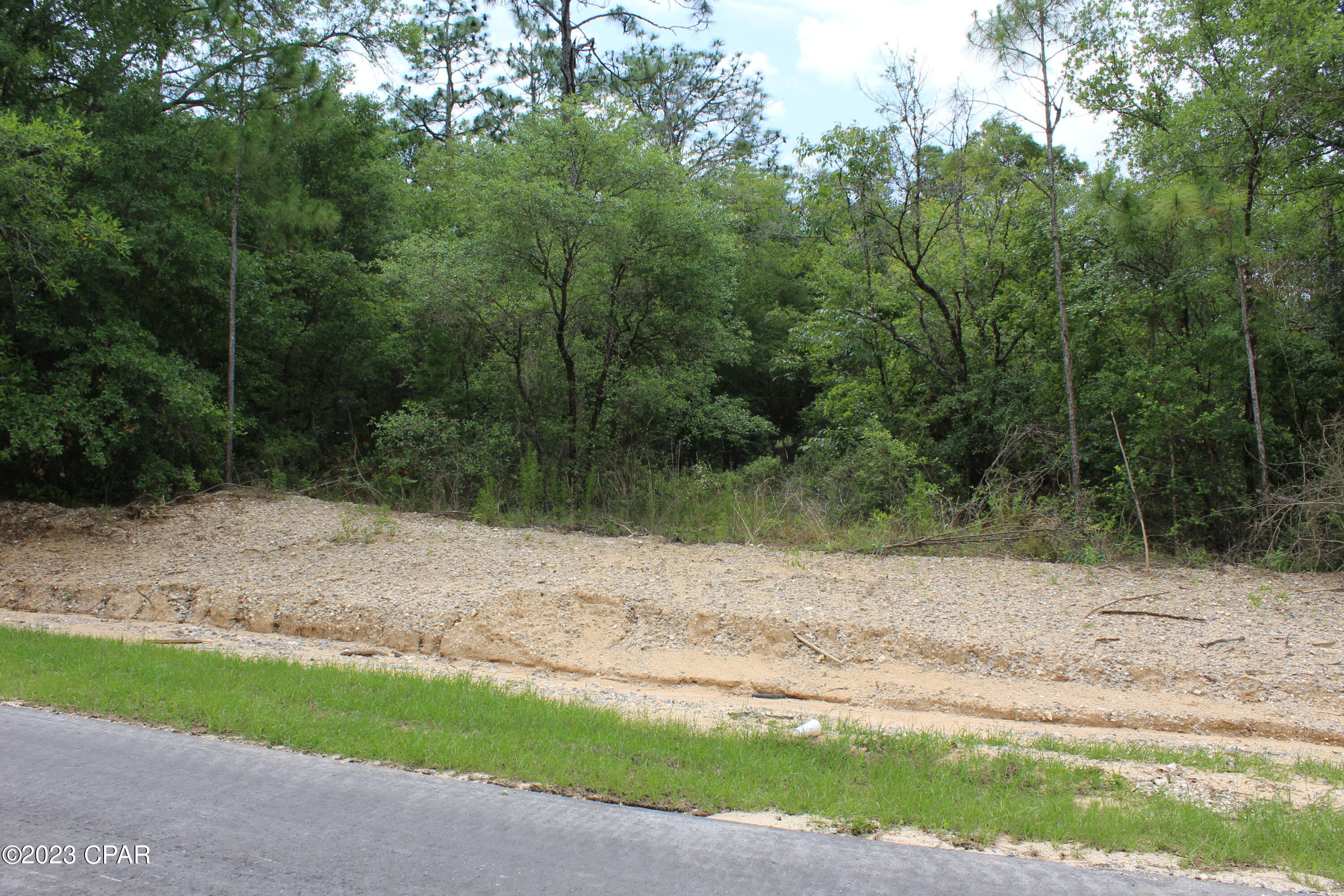 Tbd Territory Road Chipley, FL 32428 - Photo 8 of 13 Gallery Image 8
