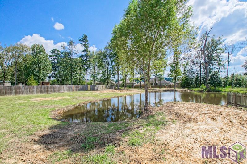 10646 Eagle Crest Road Denham Springs, LA 70726 - Photo 15 of 16 Gallery Image 15