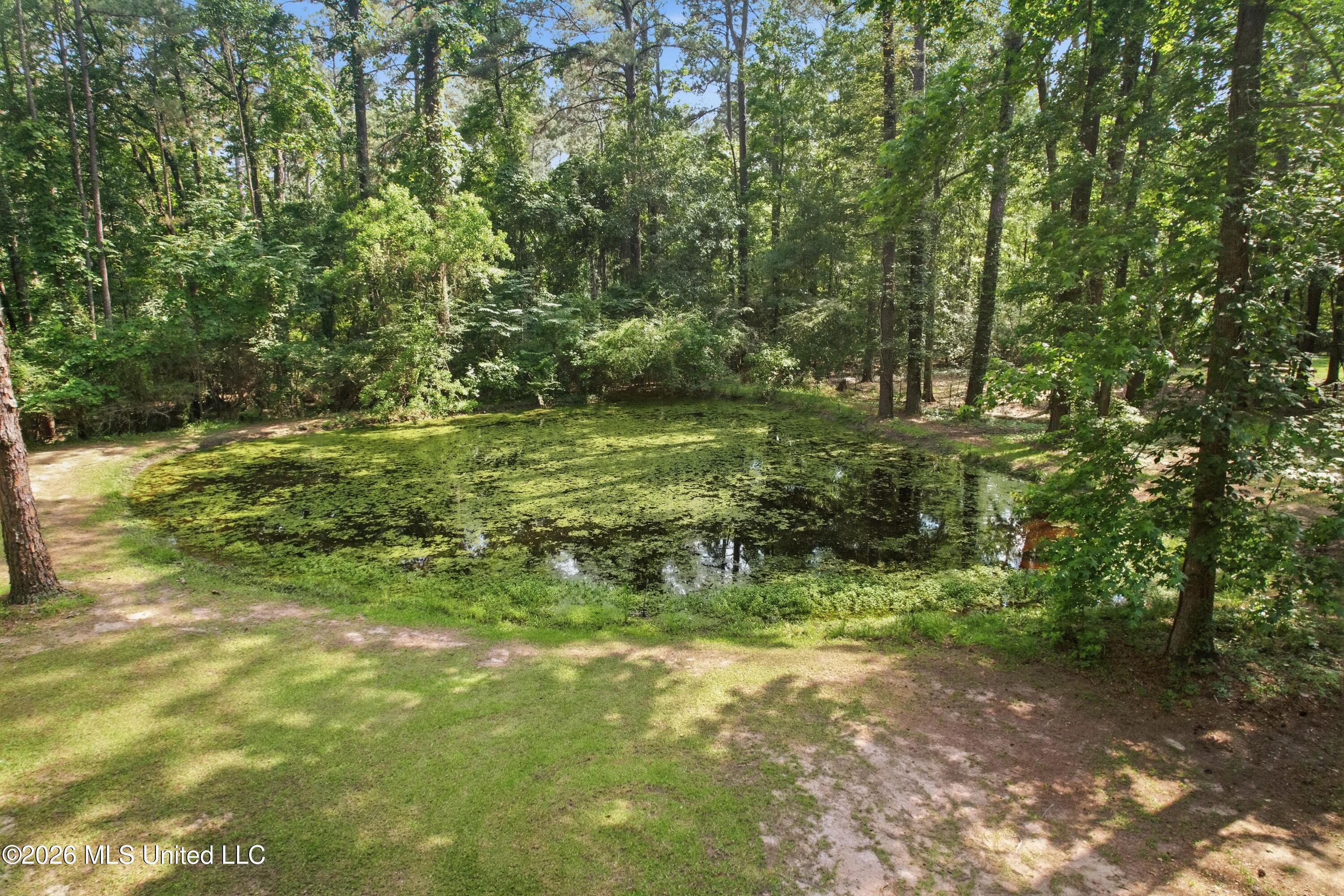 1152 Robb Street, Unit E Summit, MS 39666 - Photo 29 of 42 40_dji_0609
