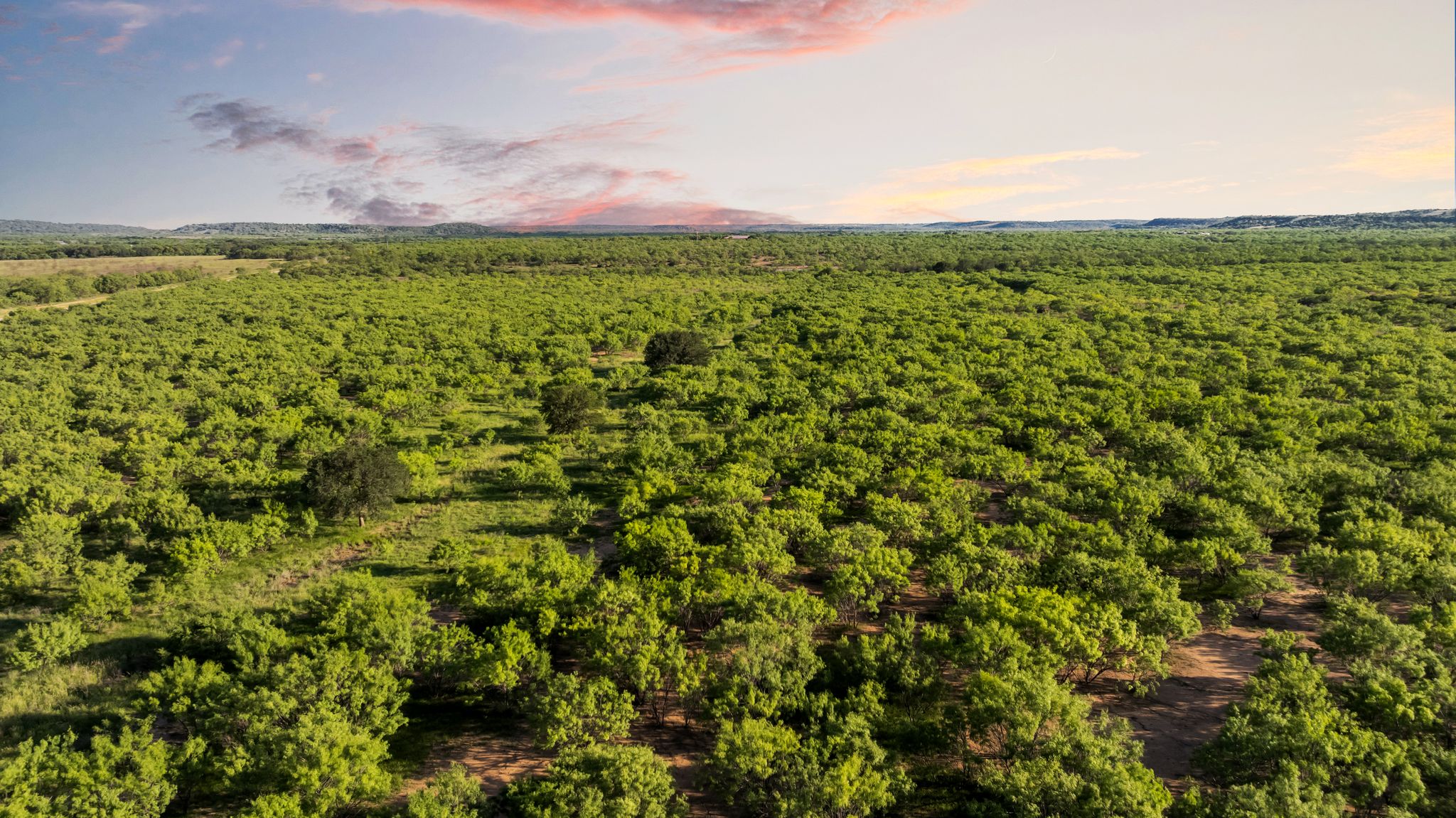 2186 FM 1028 Rochelle, TX 76872 - Photo 4 of 19 Aerial view at dusk of a forest view