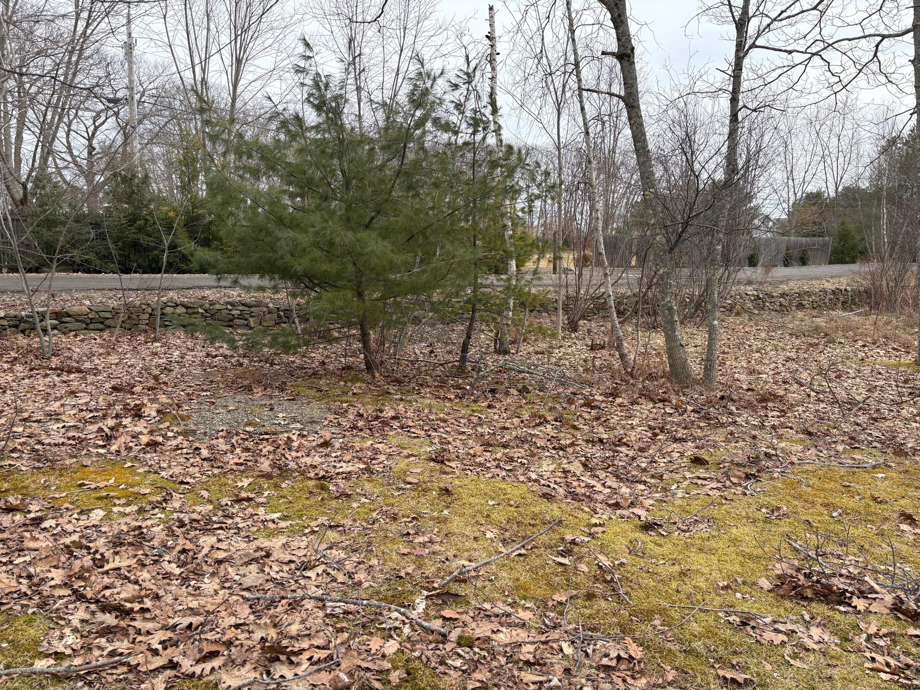 67 Patterson Hill Road, Unit A Belfast, ME 04915 - Photo 6 of 24 IMG_6723