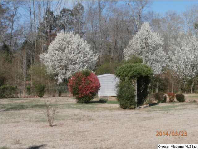 1237 Golf Course Road Jasper, AL 35504 - Photo 16 of 23
