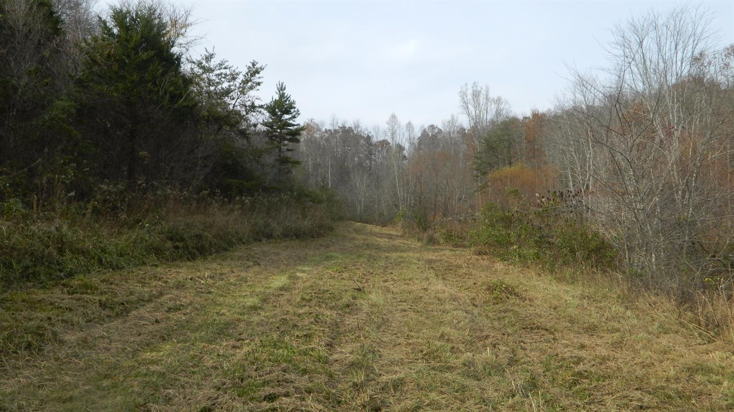 589 Judd Road Booneville, KY 41314 - Photo 19 of 67 Photo 19
