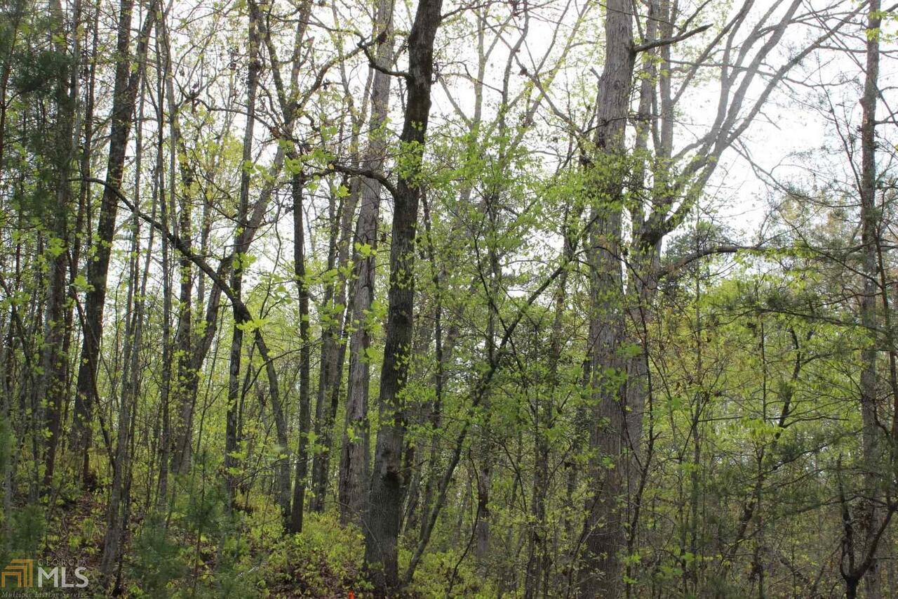 0 Hog Snout Road Sautee Nacoochee, GA 30571 - Photo 1 of 1 Gallery Image 1