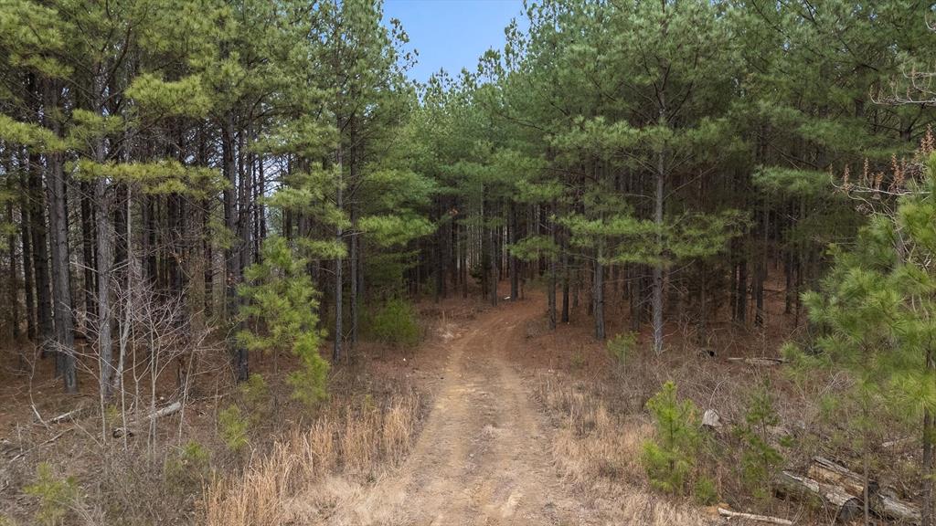 5370 River Bend Road Guild, TN 37340 - Photo 20 of 36 Gallery Image 20