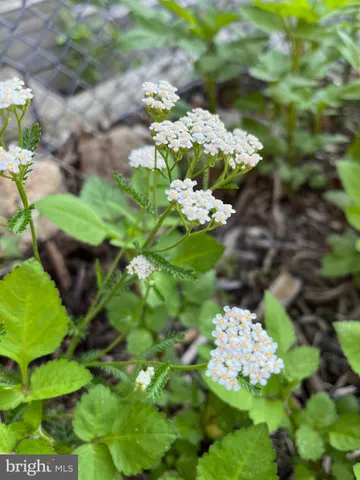 a view of a street sign under a large tree
