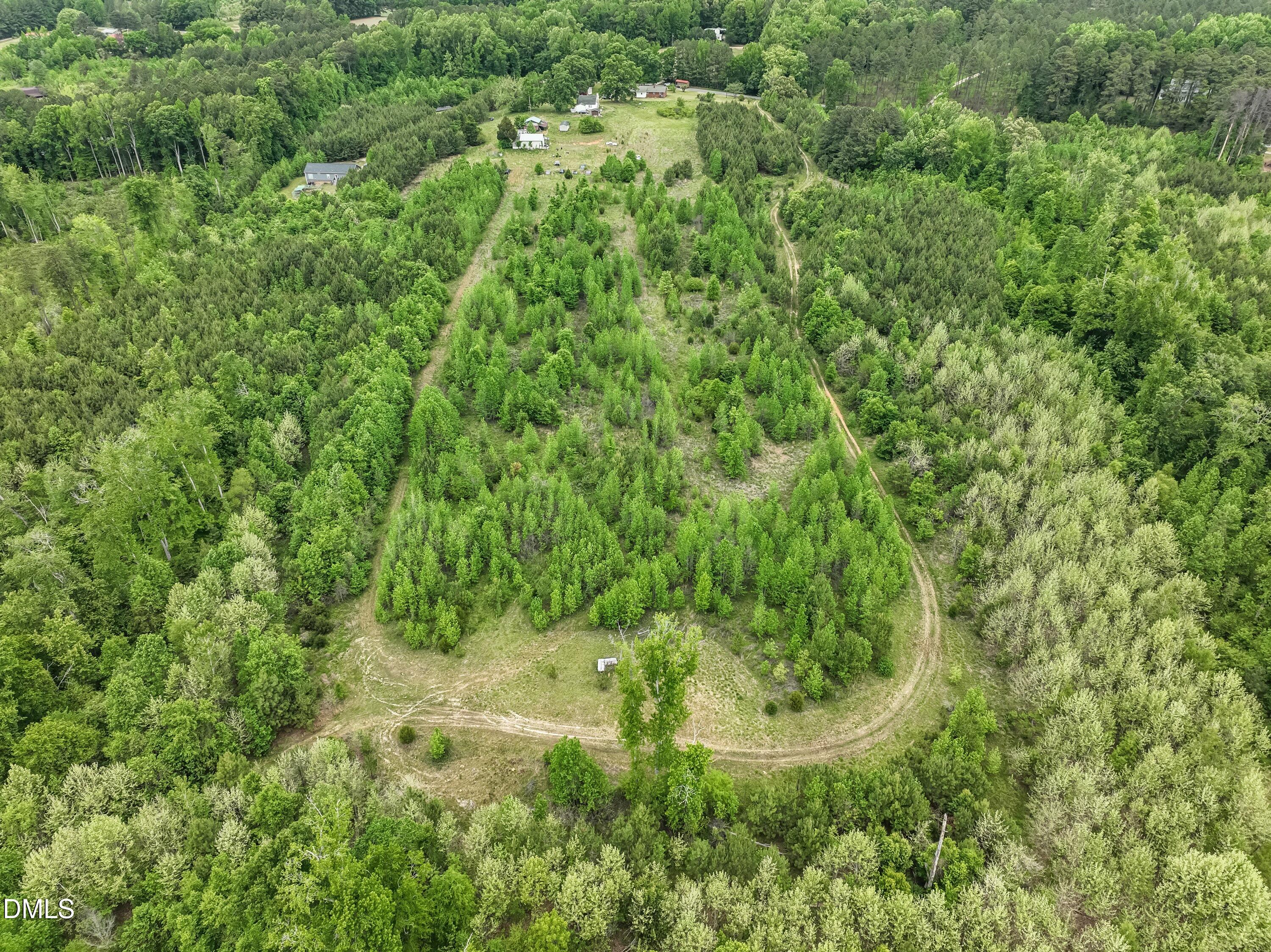641 Rocky Ford Road Louisburg, NC 27549 - Photo 2 of 38 a view of a forest with a sink