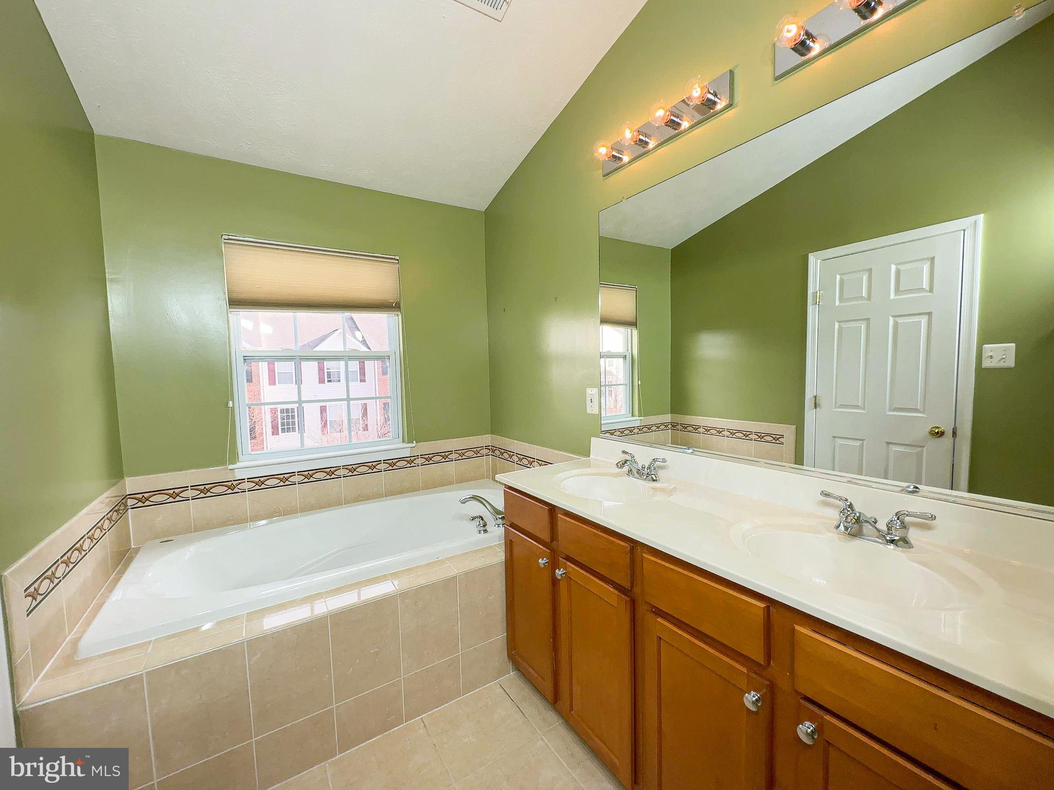 826 Lowe Road Baltimore, MD 21220 - Photo 10 of 35 a bathroom with a tub sink and mirror