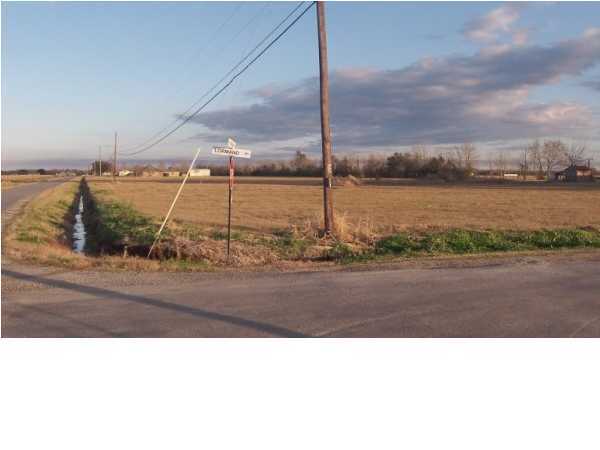 0 Fusilier Road Maurice, LA 70555 - Photo 3 of 4 Additional Photo