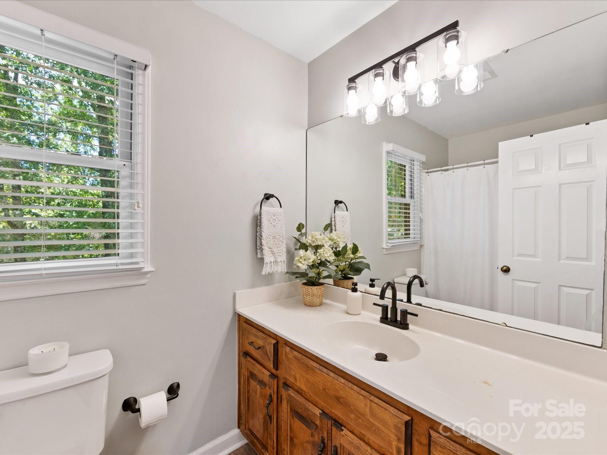 19607 Tryon Street Cornelius, NC 28031 - Photo 29 of 40 a bathroom with a sink a toilet and a mirror