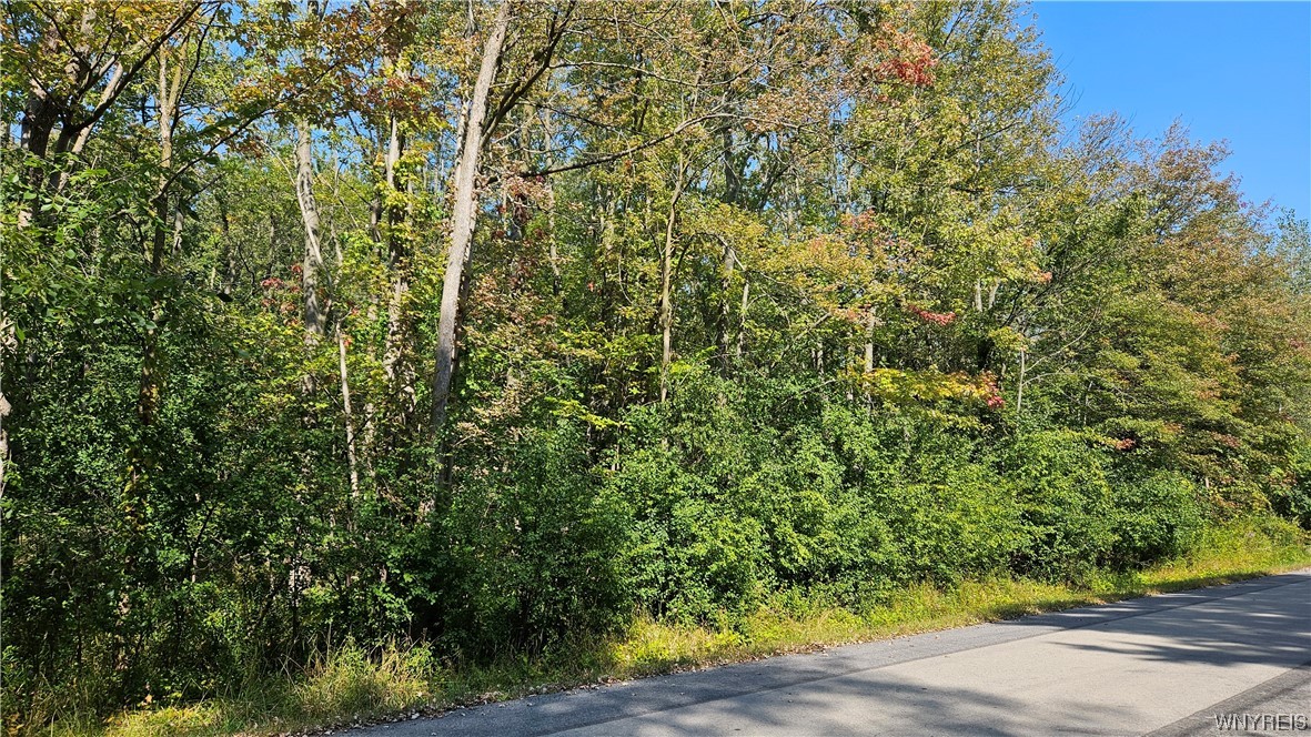 4829 Hundredmark Road Elba, NY 14058 - Photo 1 of 1 Gallery Image 1
