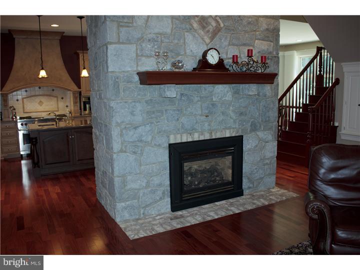 30 Oakhill Drive Lititz, PA 17543 - Photo 4 of 25 Fireplace