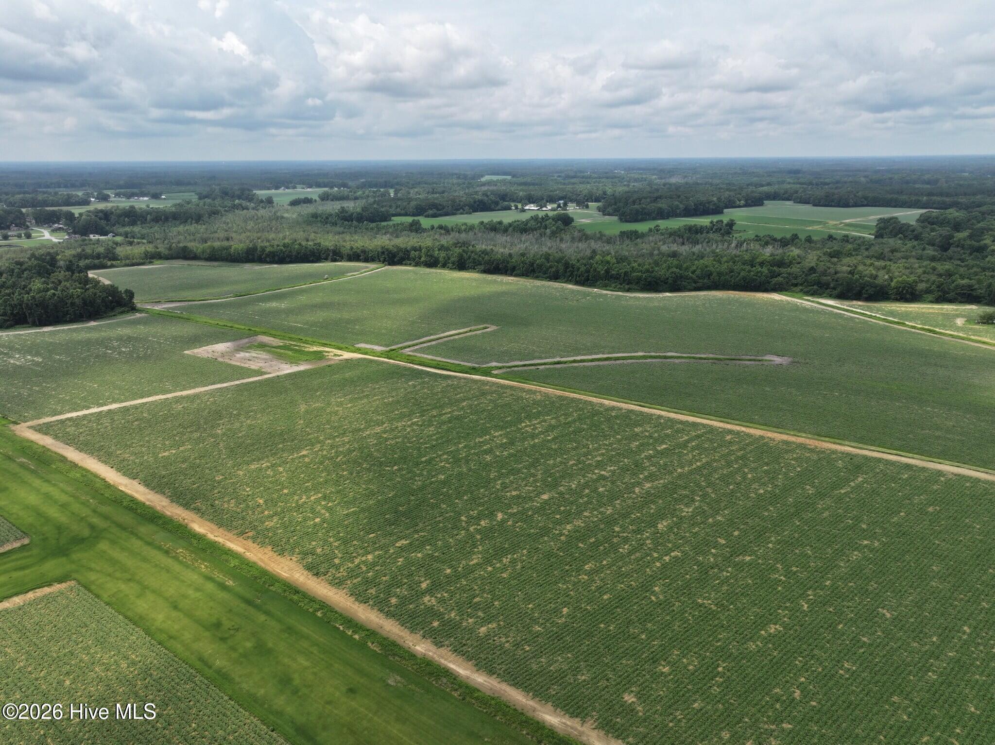 0 Huckleberry Road Lucama, NC 27851 - Photo 12 of 18 Gallery Image 12