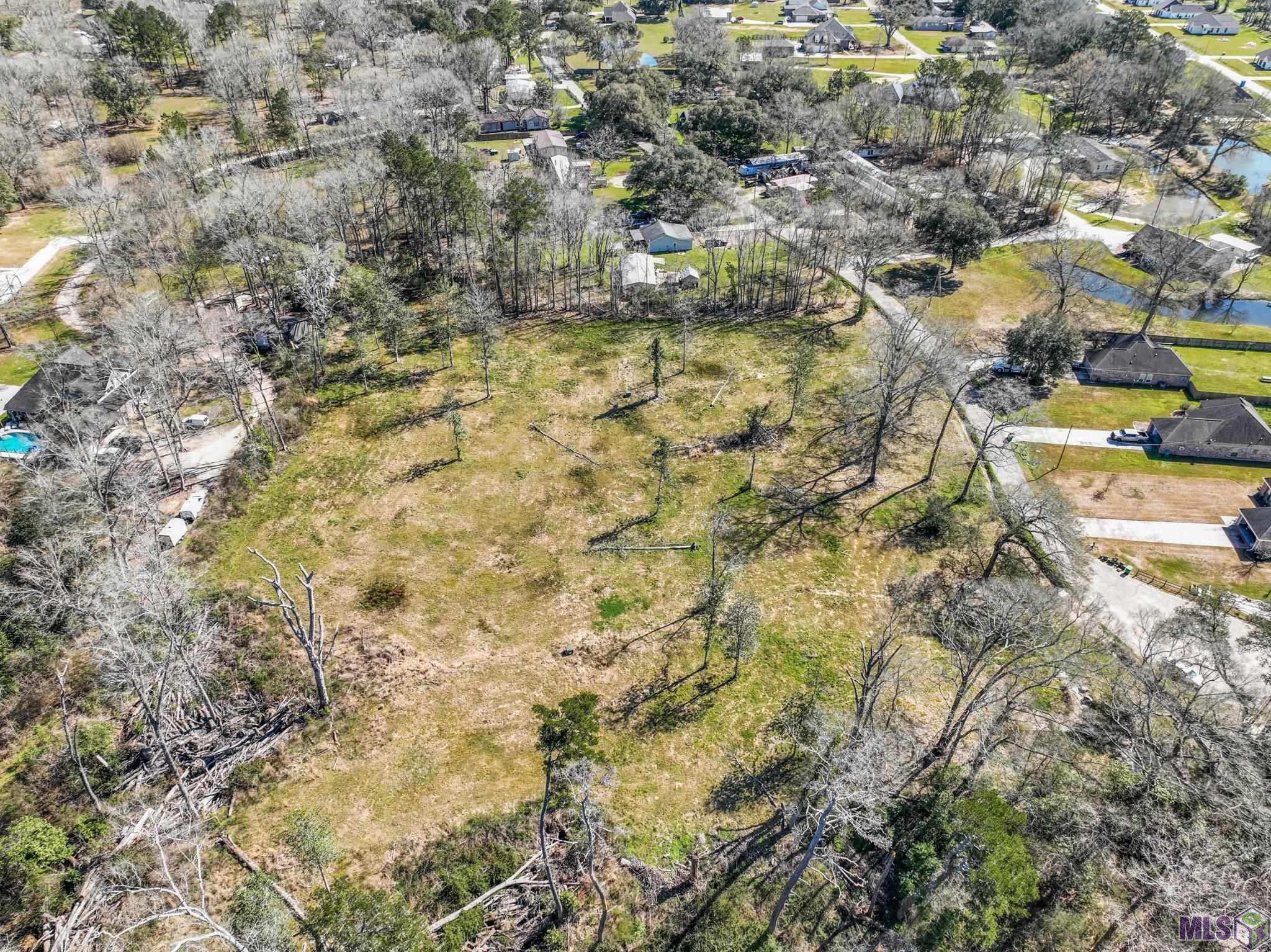 6987 Chandler Bluff Road Denham Springs, LA 70706 - Photo 3 of 11