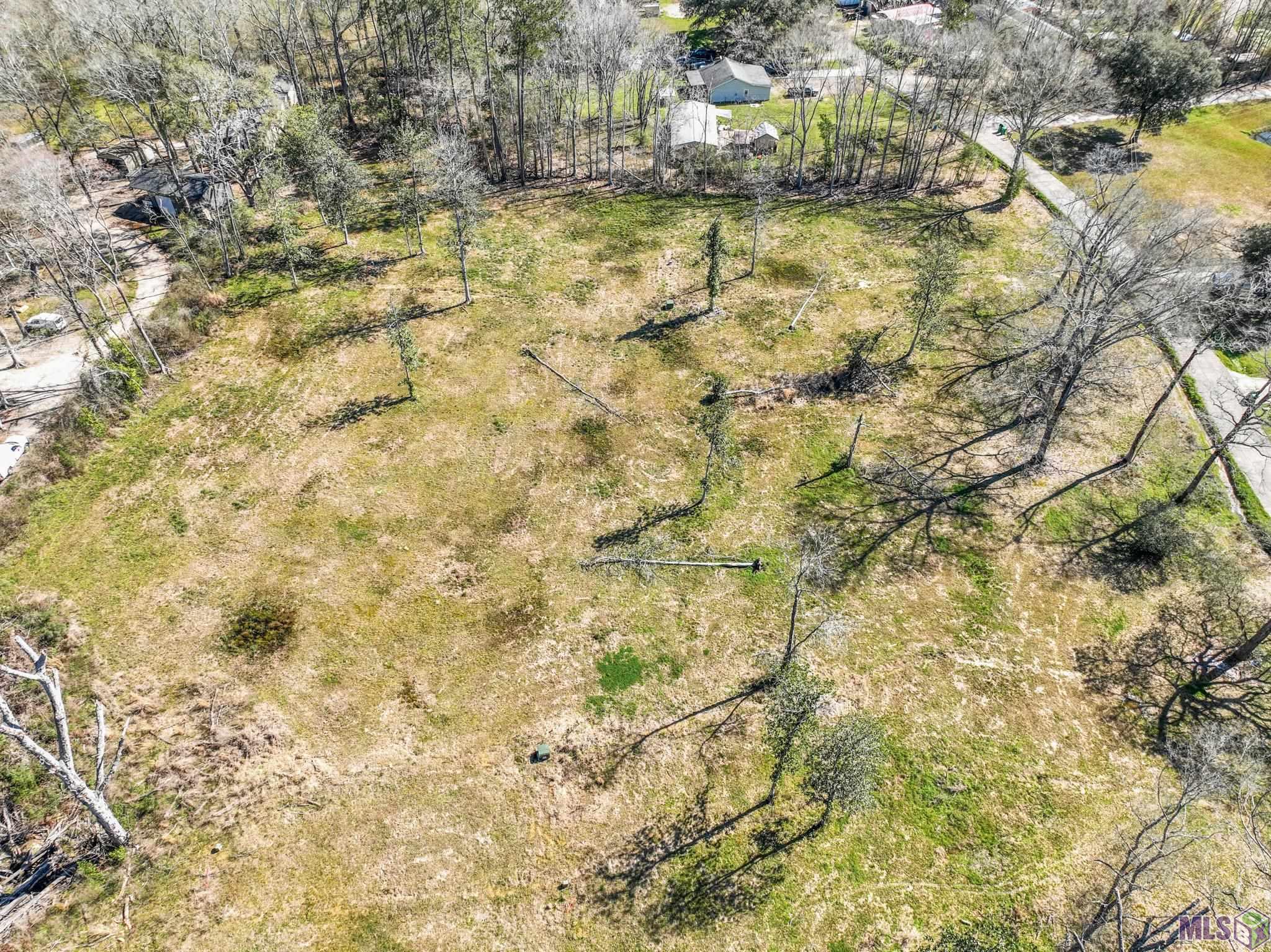 6987 Chandler Bluff Road Denham Springs, LA 70706 - Photo 5 of 11